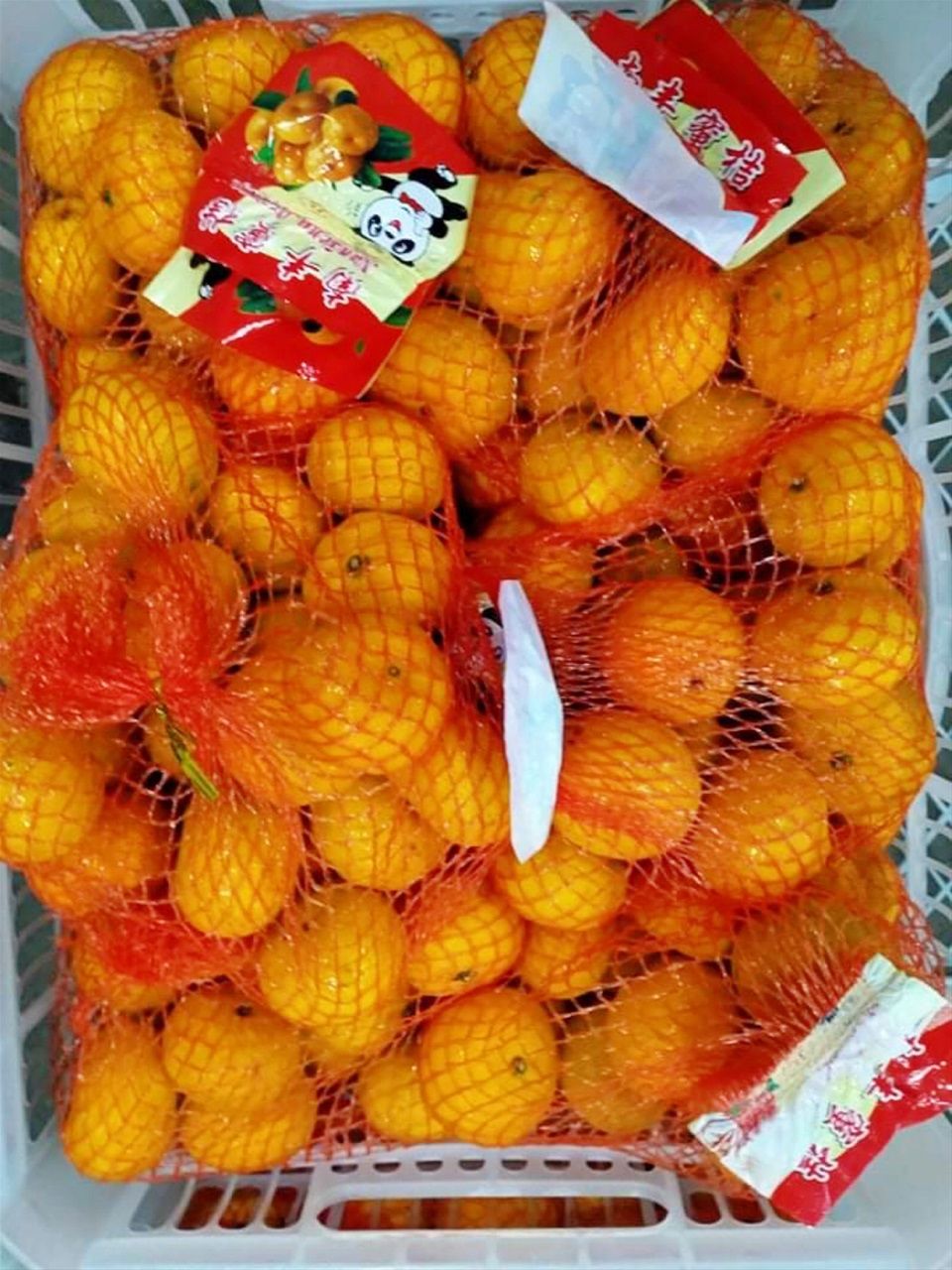 Kiat Kiat (14kg)