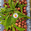 Lychees
