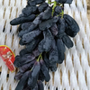Grapes Sapphire