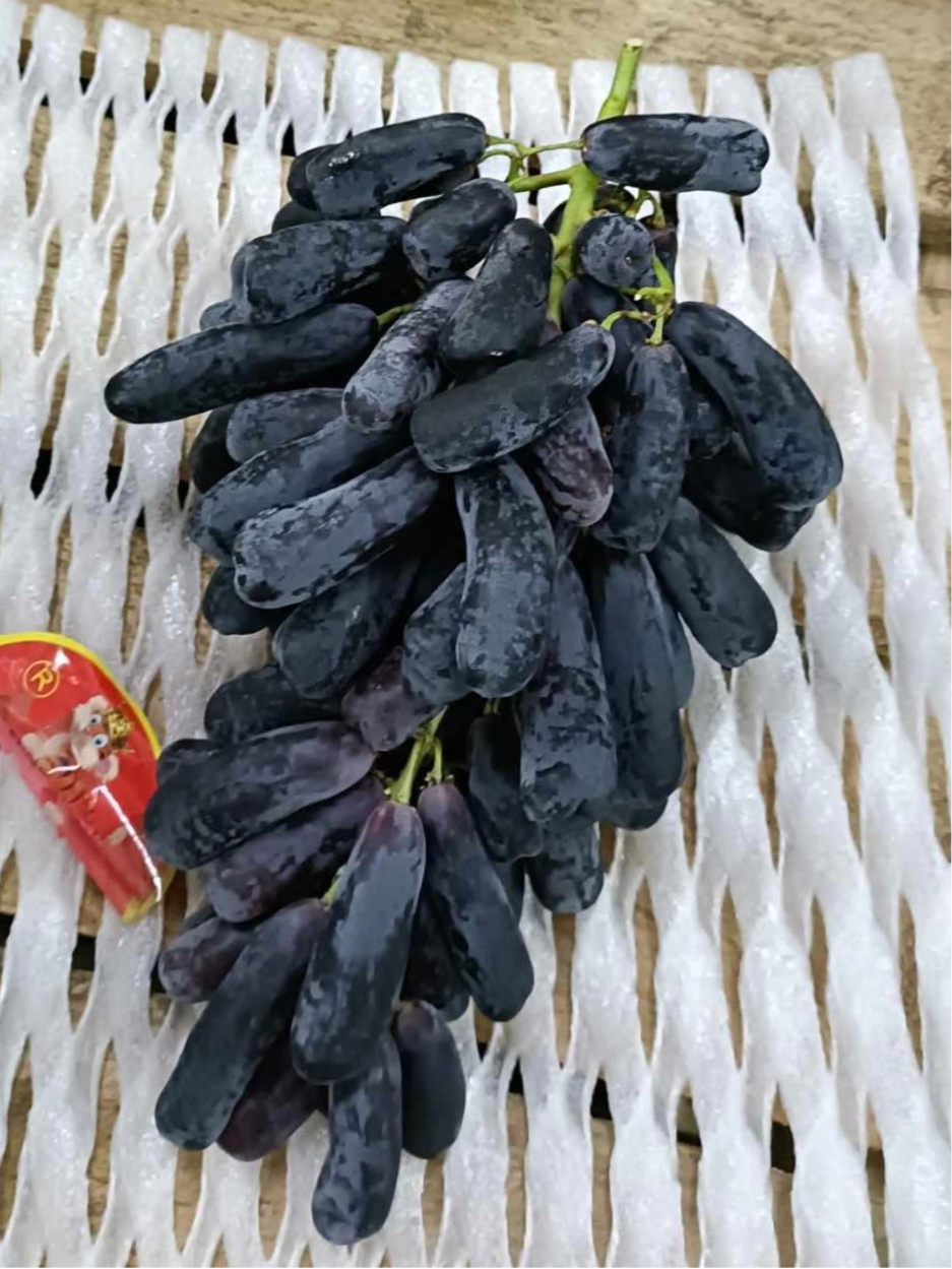 Grapes Sapphire