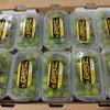 Green Muscat Grapes (10 Packs)