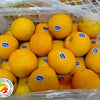 Oranges China (Medium)