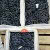 Grapes Blue Sapphire 6kg