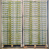 Green Muscat Grapes (10 Packs)