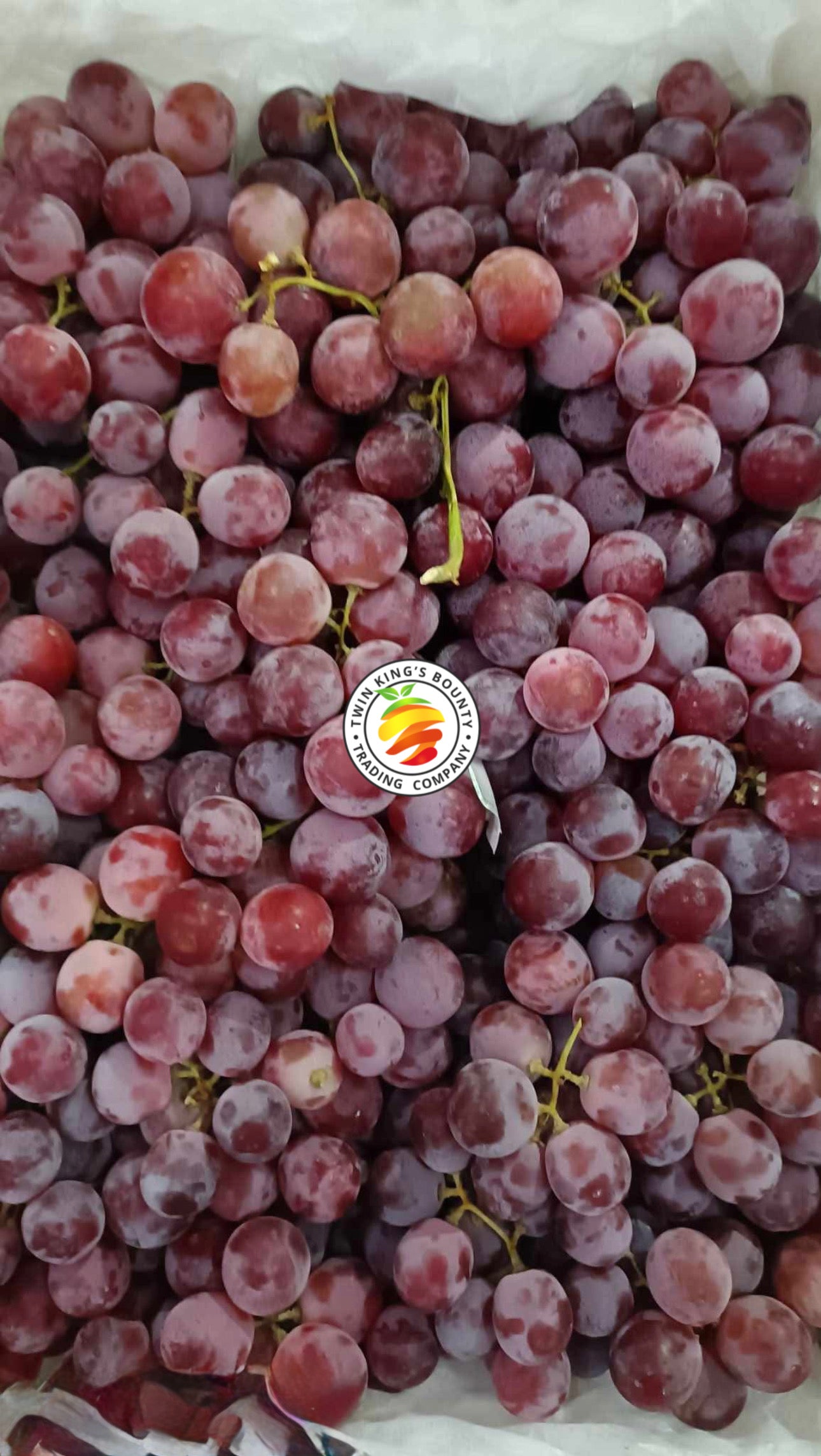 Grapes Red (w/ Seeds)