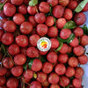 Lychees