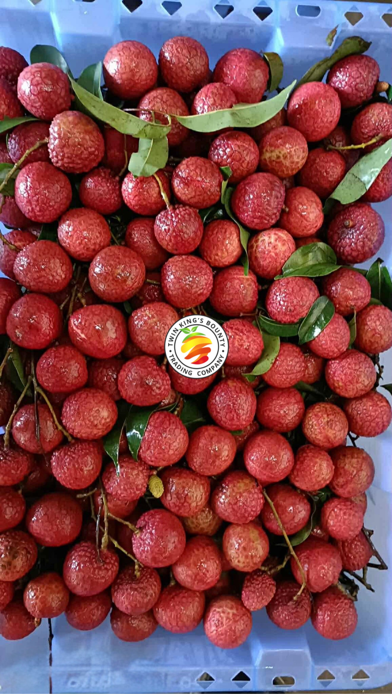 Lychees
