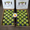 USA Granny Smith Apples (Green)
