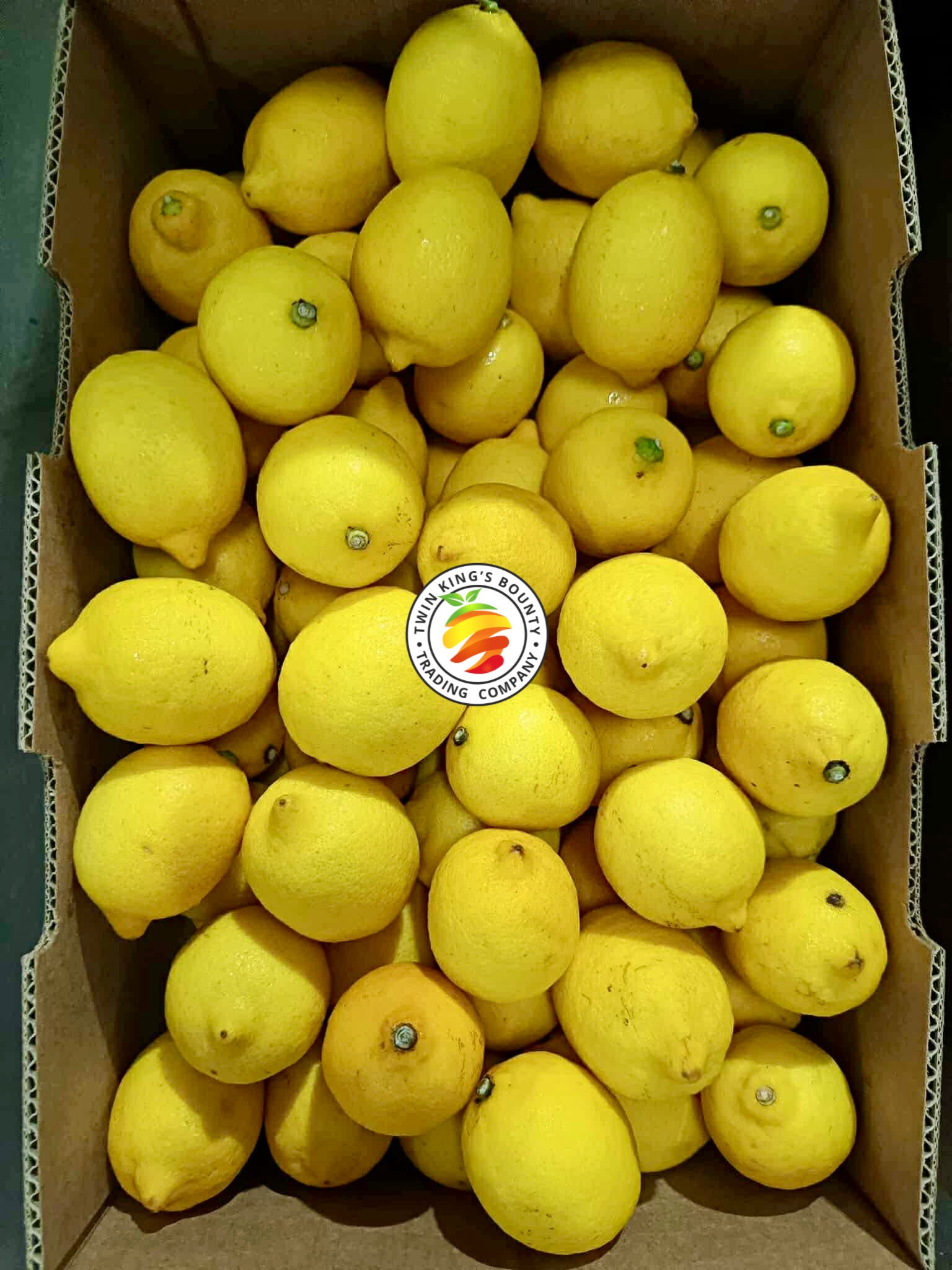 Lemons Argentina (Small)