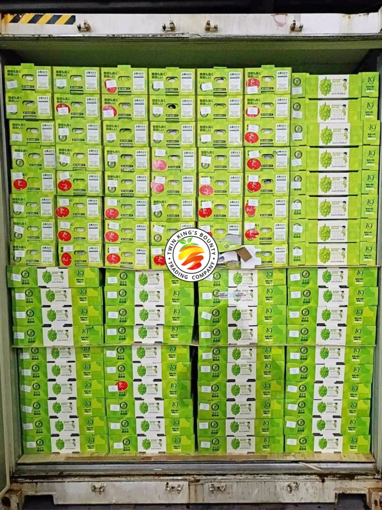 Green Muscat Grapes (8 Packs) – Twin King's Bounty