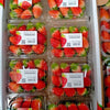 Korean Red Strawberries (8 Packs)