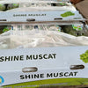 Green Muscat Grapes (10 Packs)