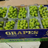Green Muscat Grapes (10 Packs)