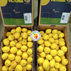 Lemons Argentina (Small)