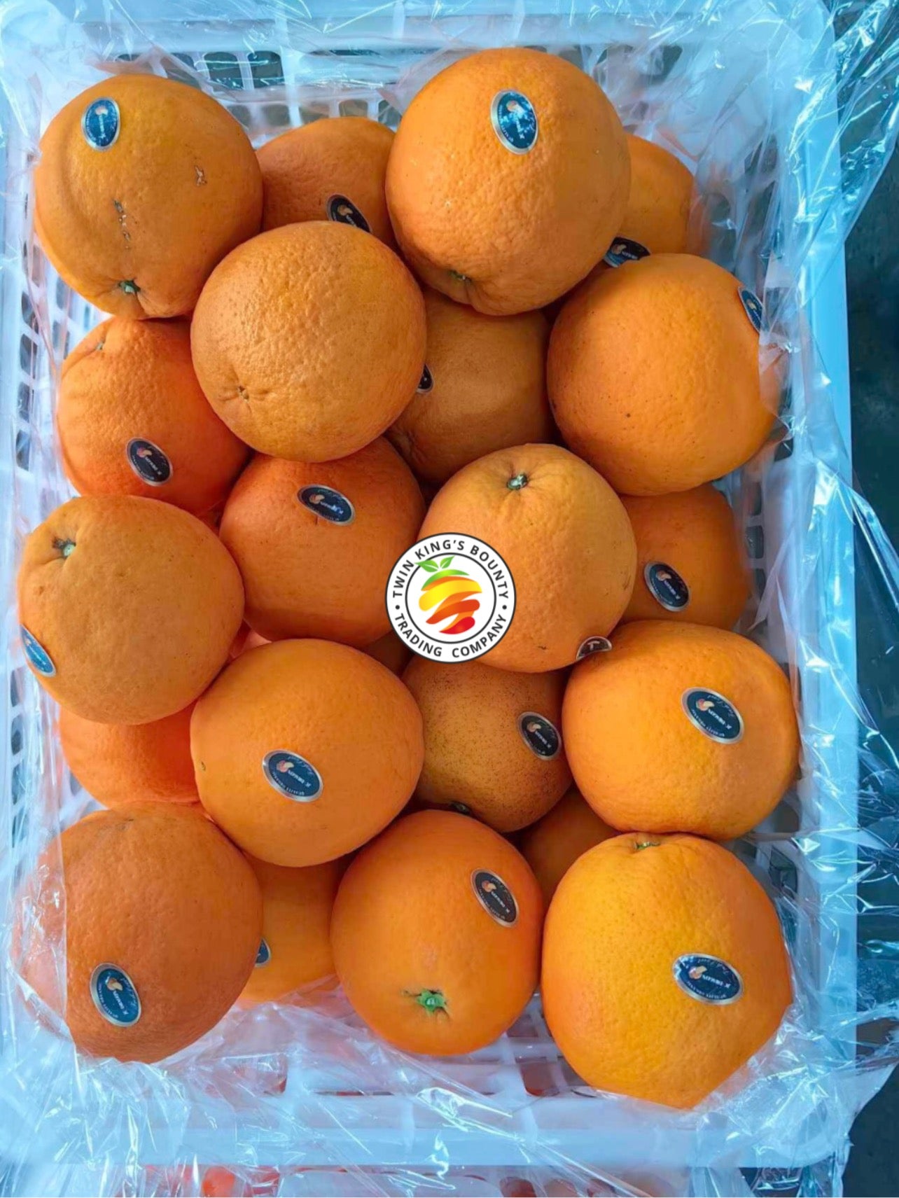 Oranges China (Small)