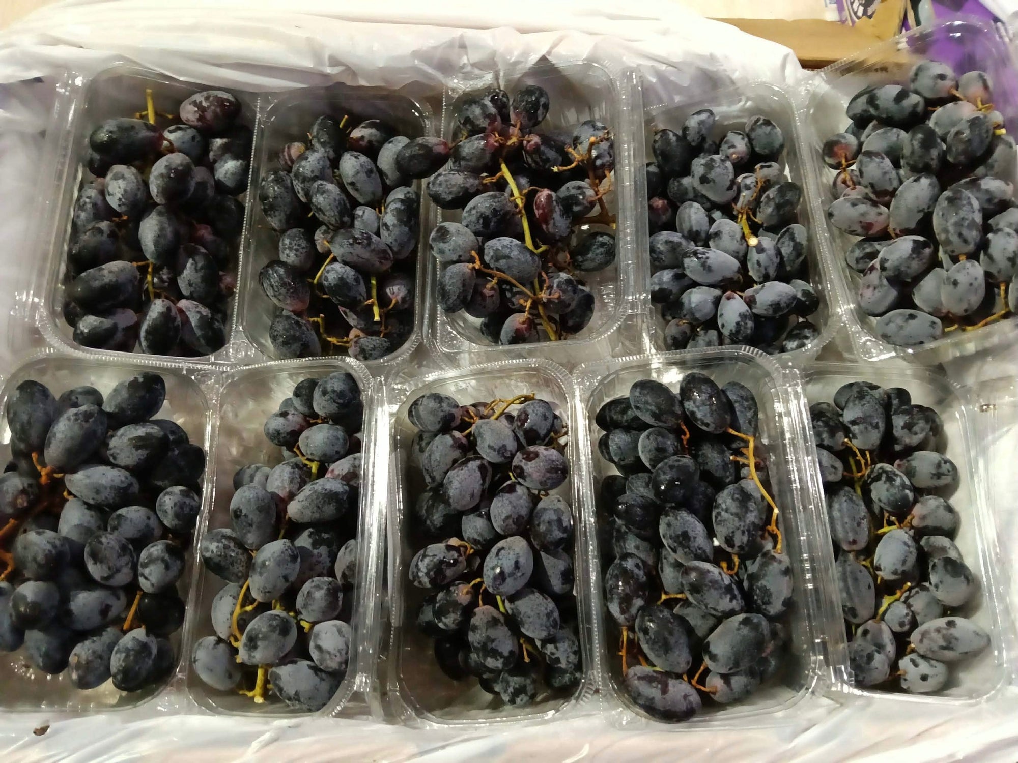 Black Grapes (1x10 packs)
