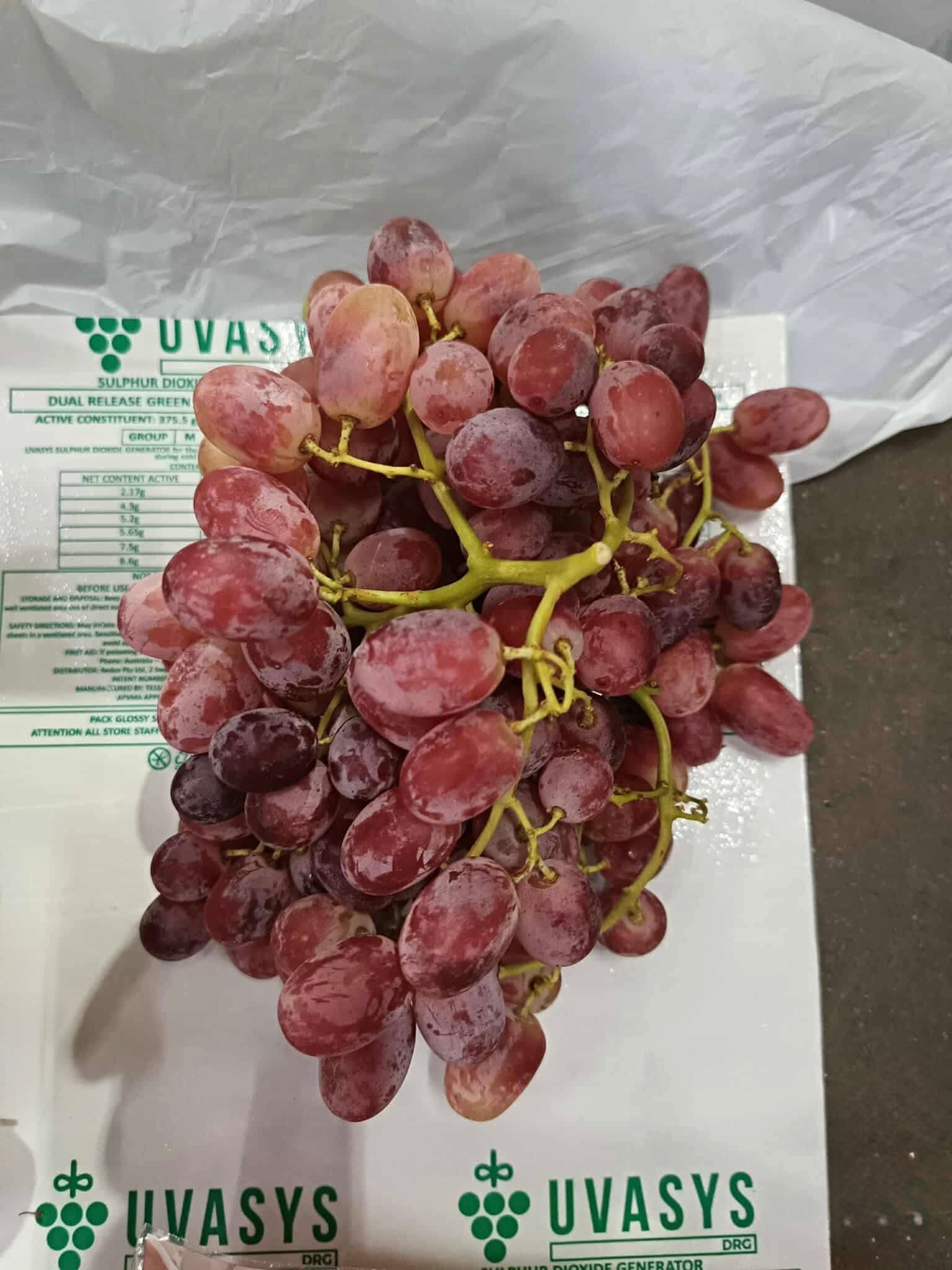 Red Grapes Seedless (Australia Crimson)