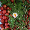 Lychees