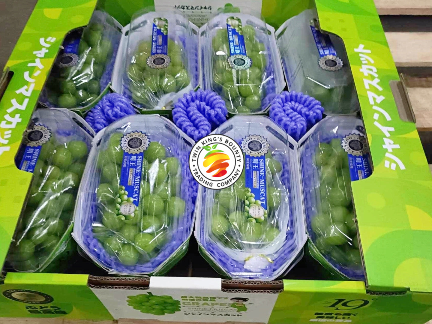 Green Muscat Grapes (8 Packs) – Twin King's Bounty