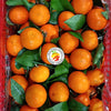 Sugar Kiat Wogan (13kg)