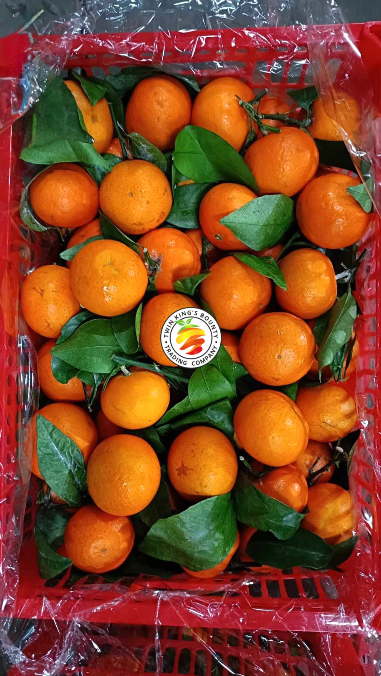 Sugar Kiat Wogan (13kg)