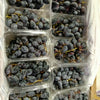 Black Grapes (1x10 packs)
