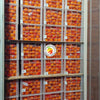 Kiat Kiat (14kg)