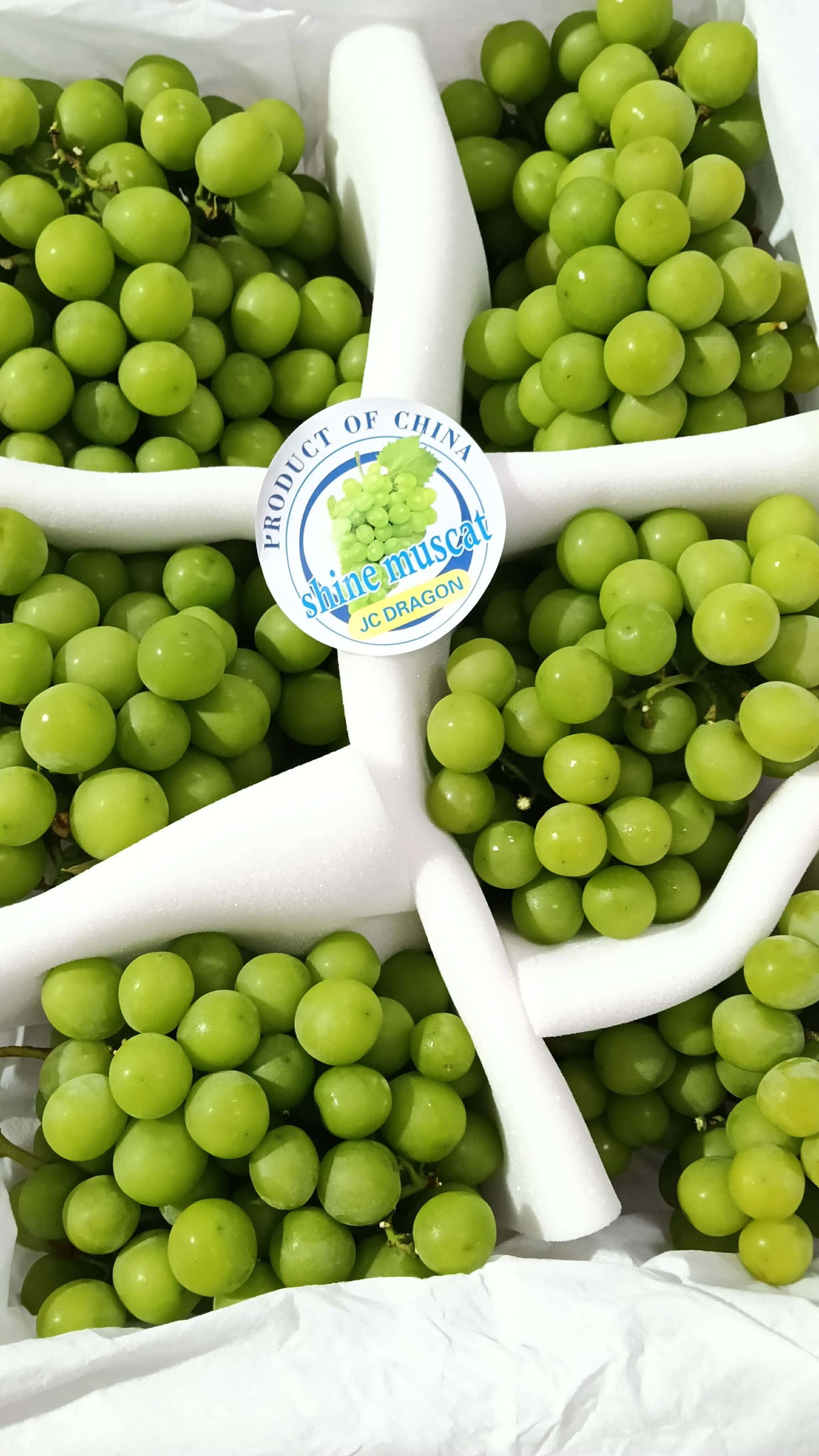 Green Muscat Grapes (5kg)