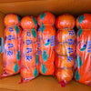 Korean Persimmon (Tube)