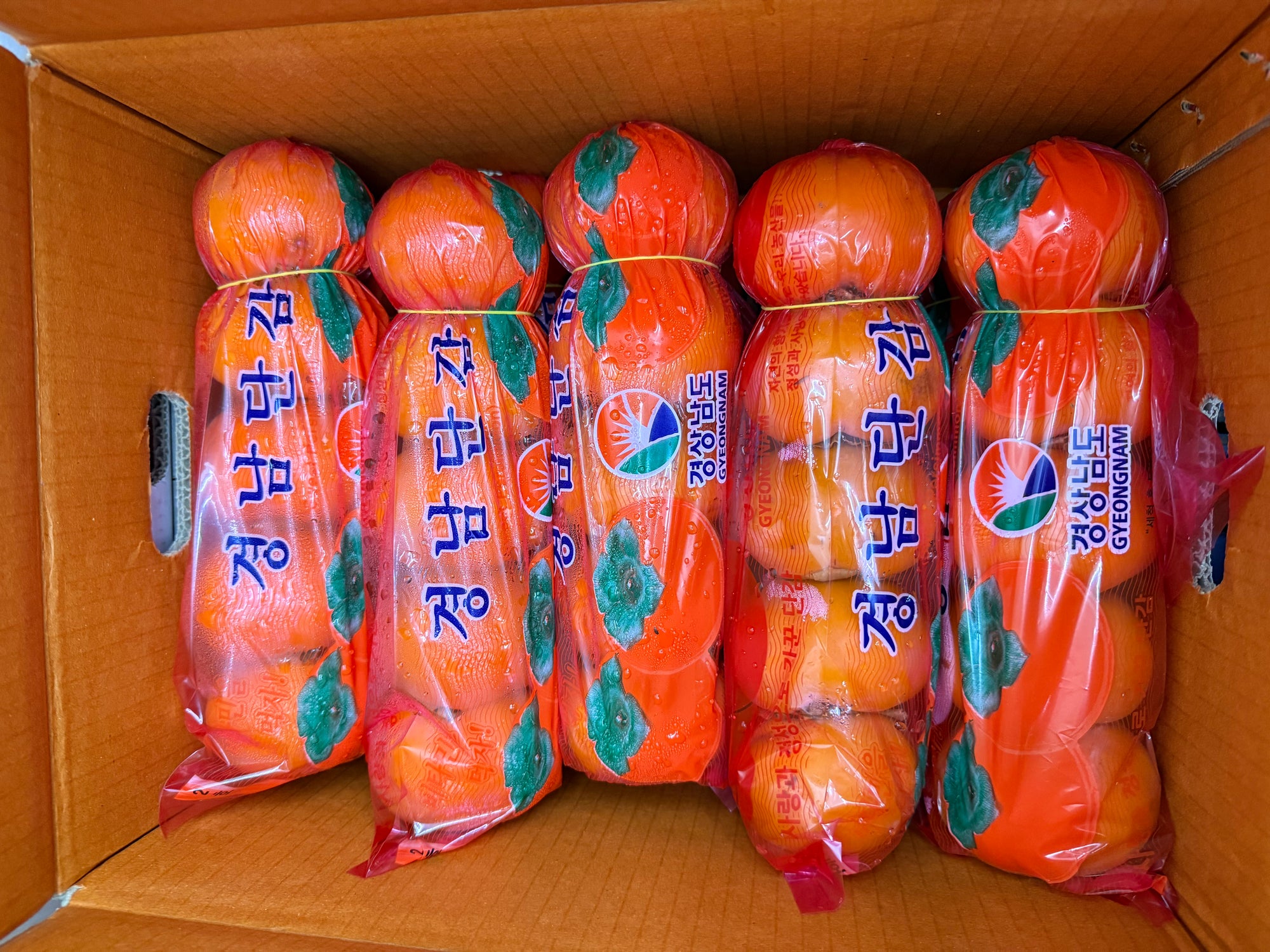 Korean Persimmon (Tube)