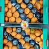Ponkan Maca Argentina