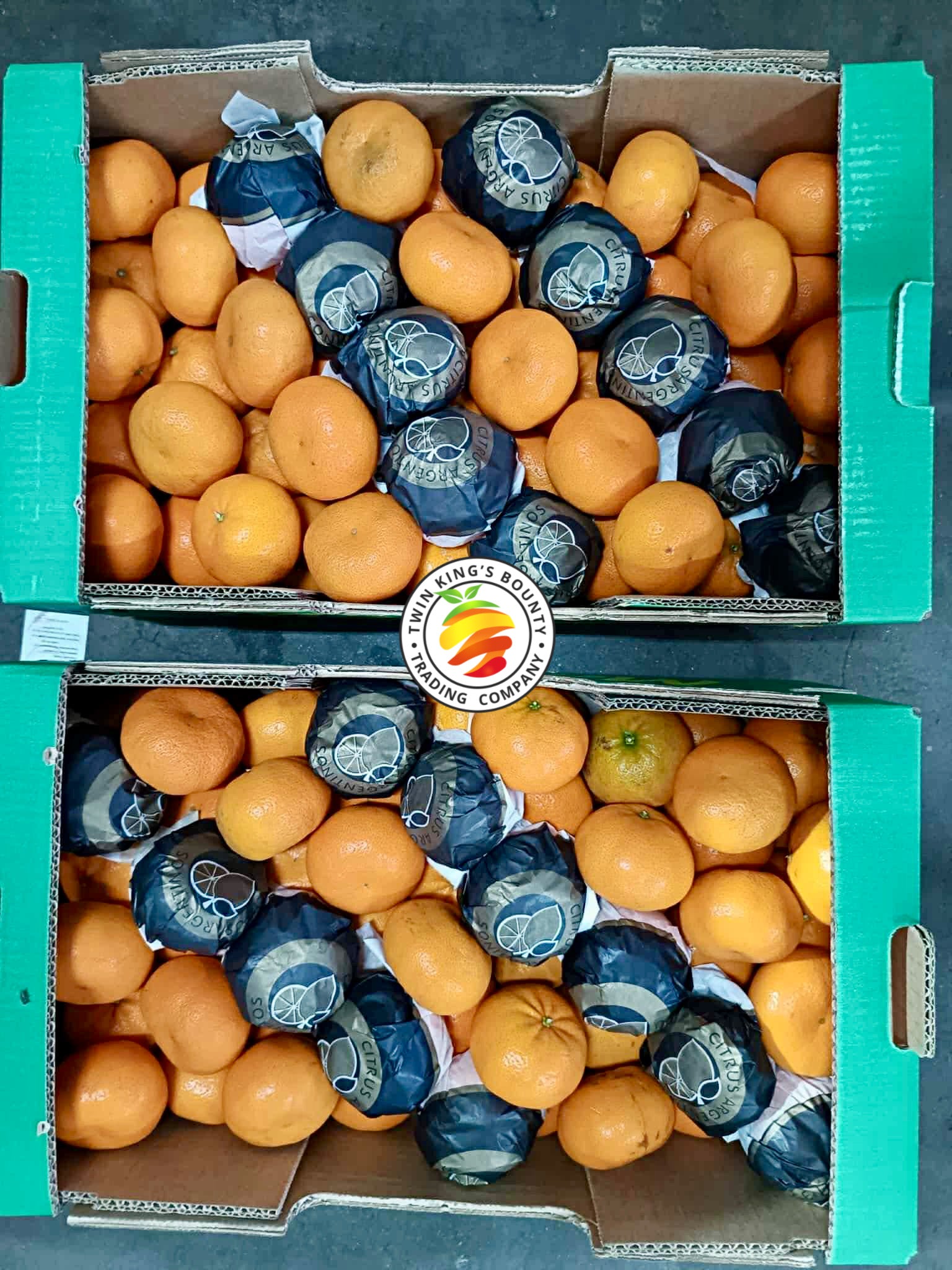 Ponkan Maca Argentina