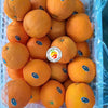 Oranges China (Medium)