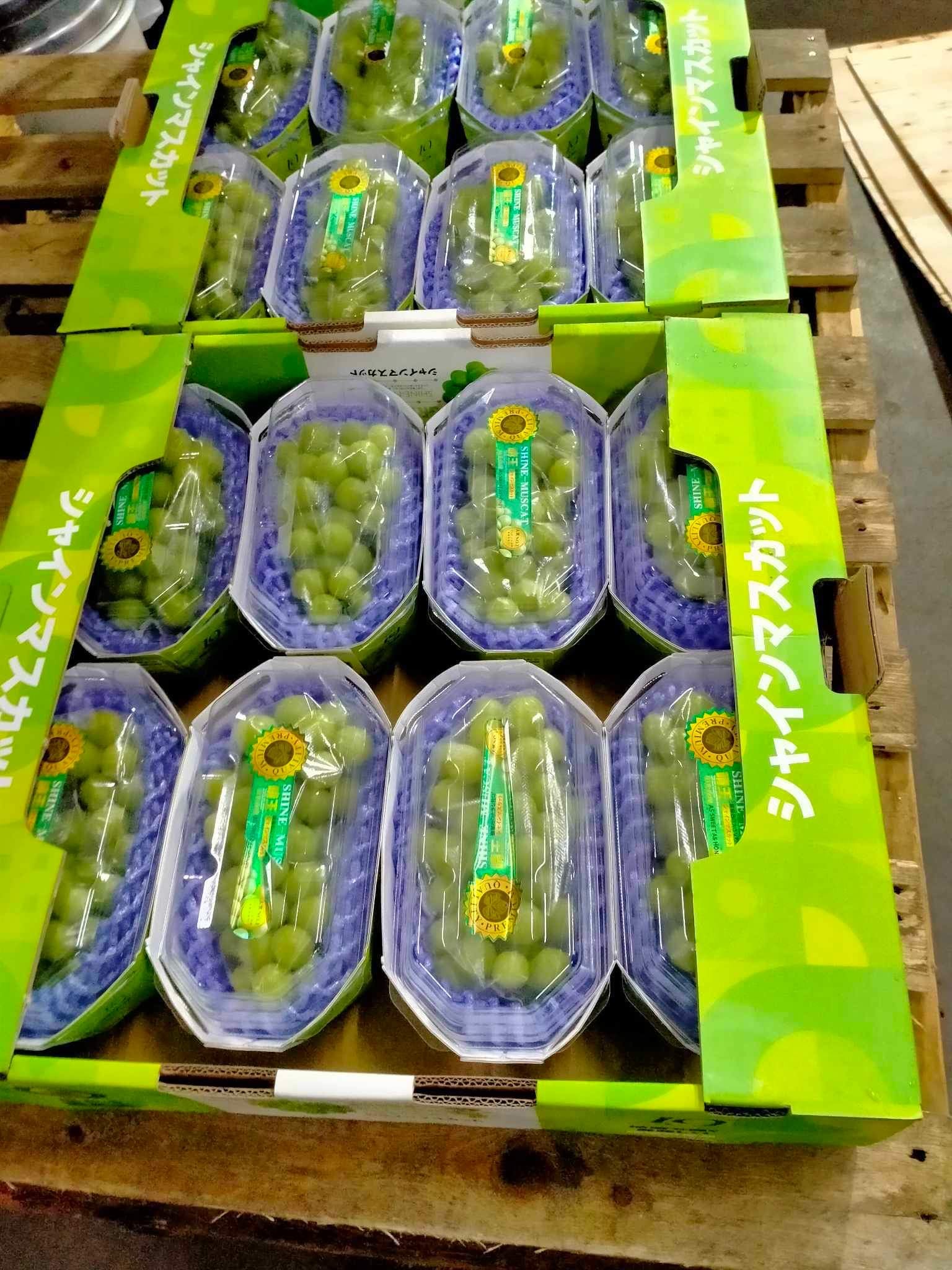 Grapes Green Muscat (8 Packs) – Twin King's Bounty