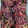 Grapes Red Seedless China