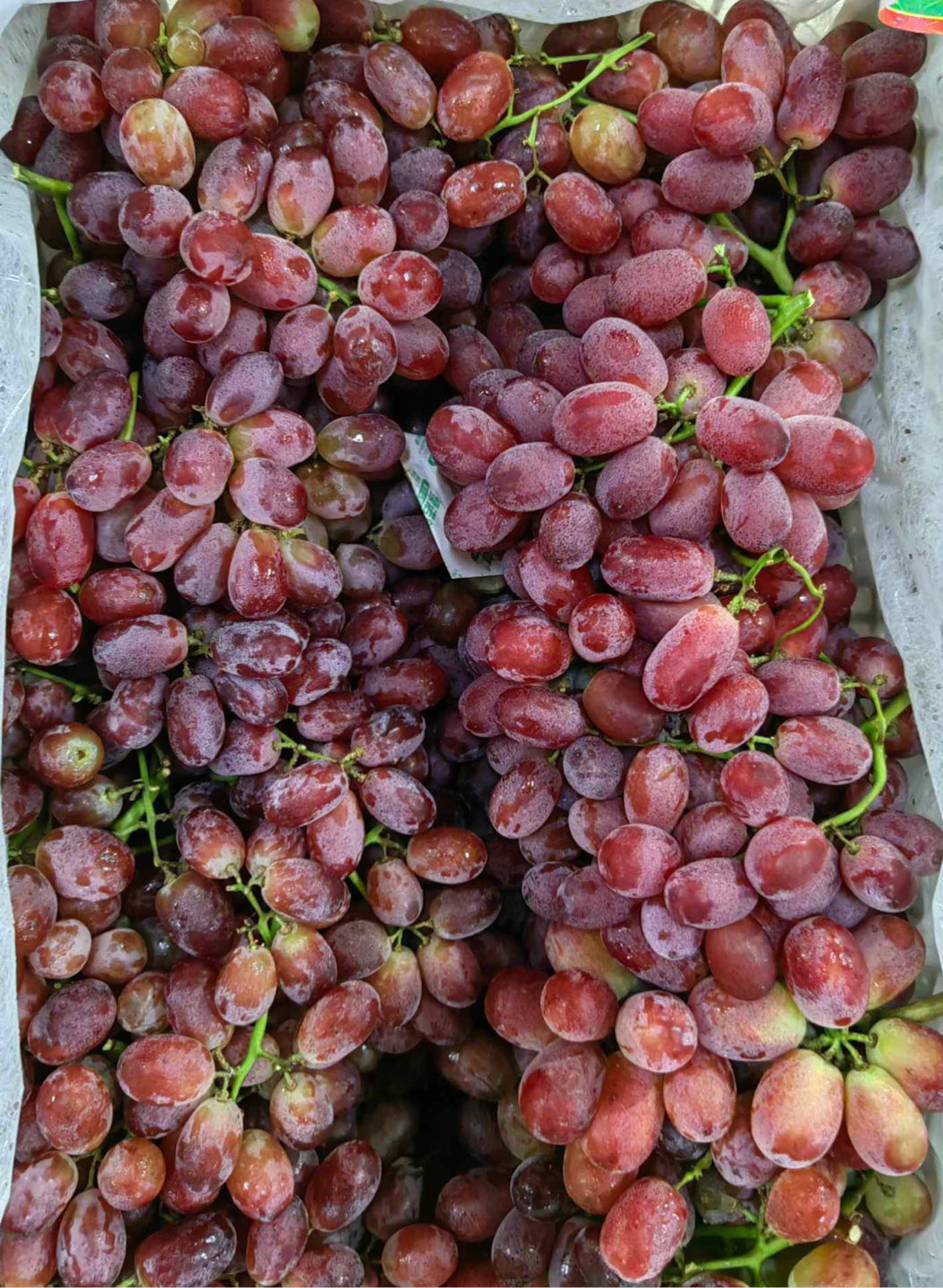 Grapes Red Seedless China