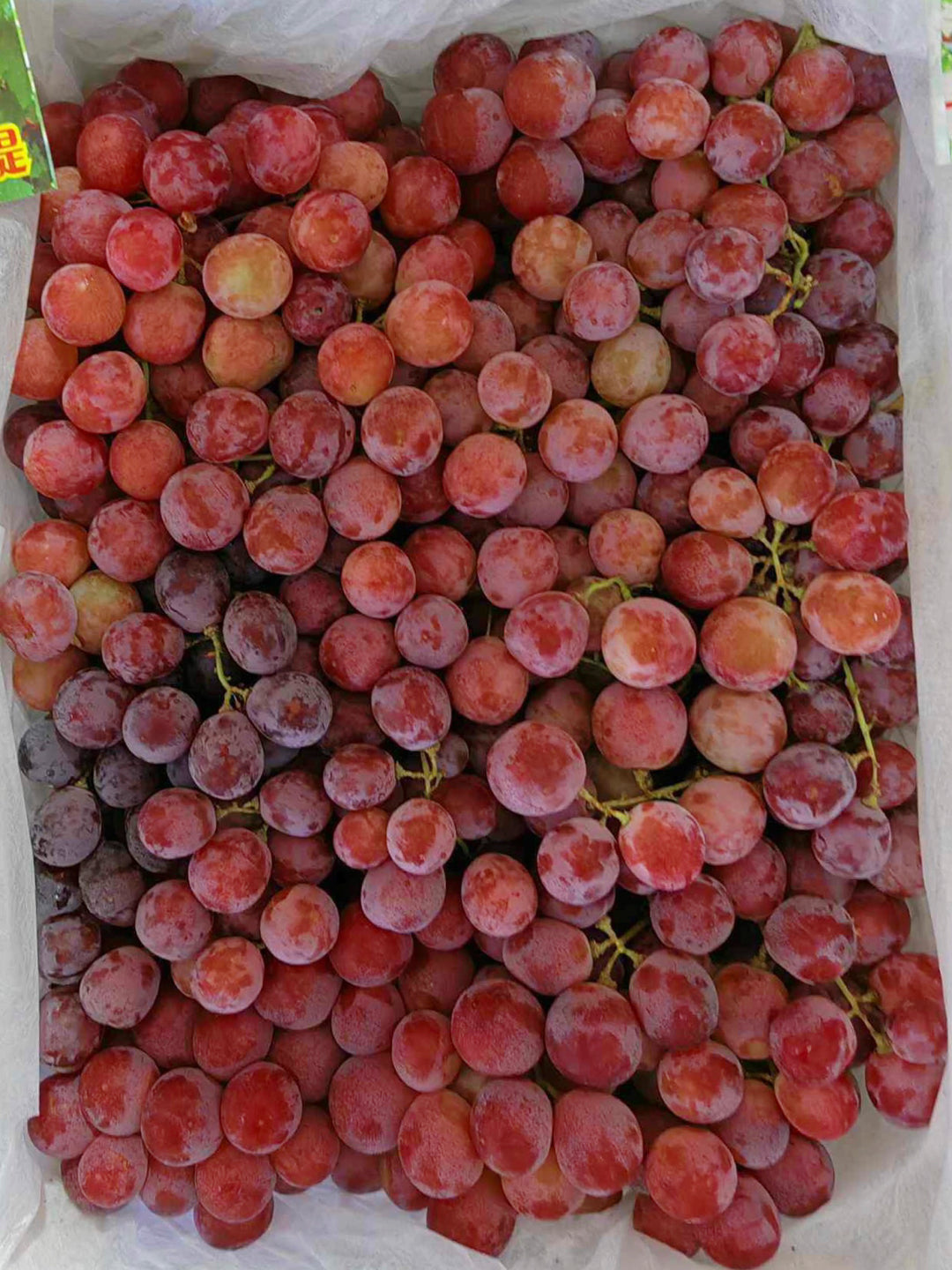 Grapes Red w/ Seeds China