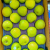 USA Granny Smith Apples (Green)