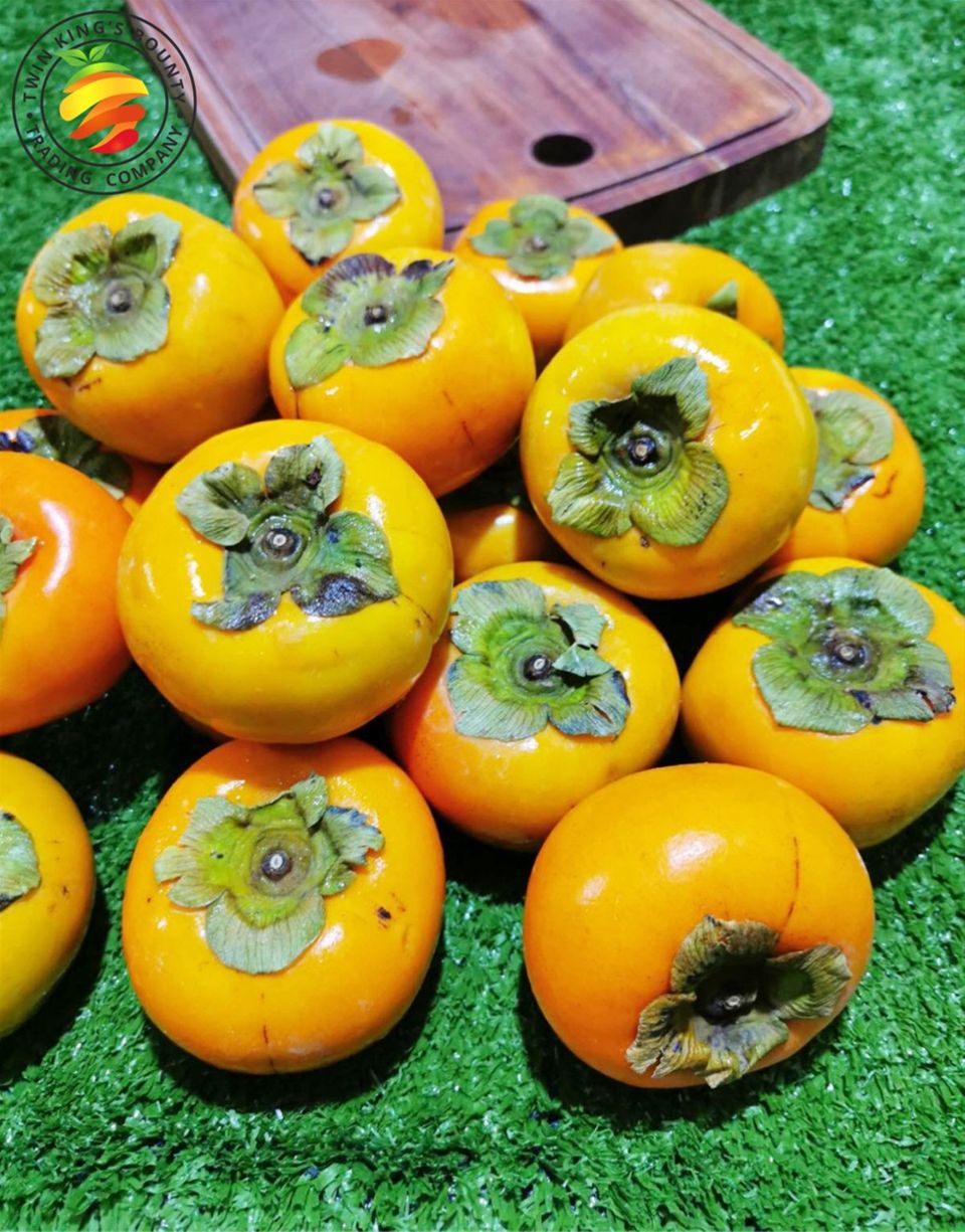 Persimmon (Large)