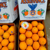 Oranges Australia (Large)